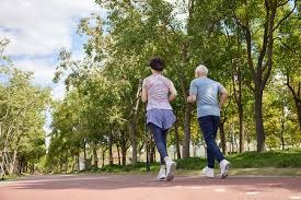 河南队本赛季通过定位球总计打入29球，位列中超所有球队之首